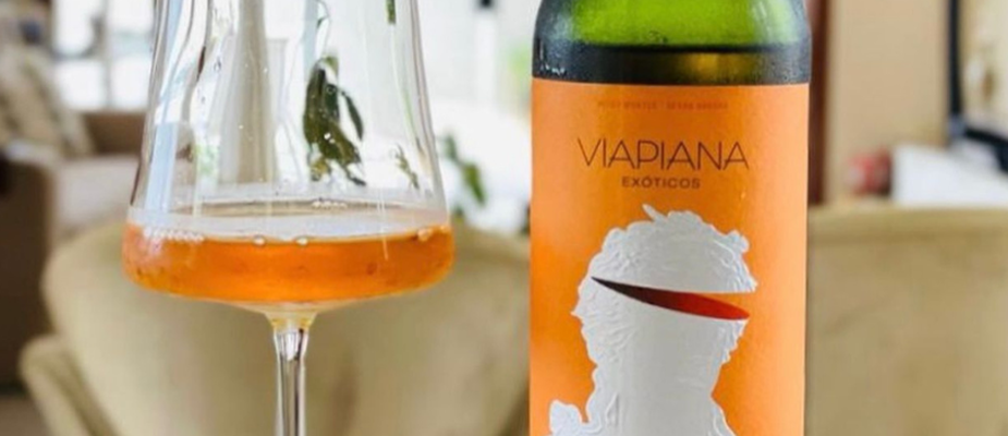 Vinho Laranja, uma joia não descoberta